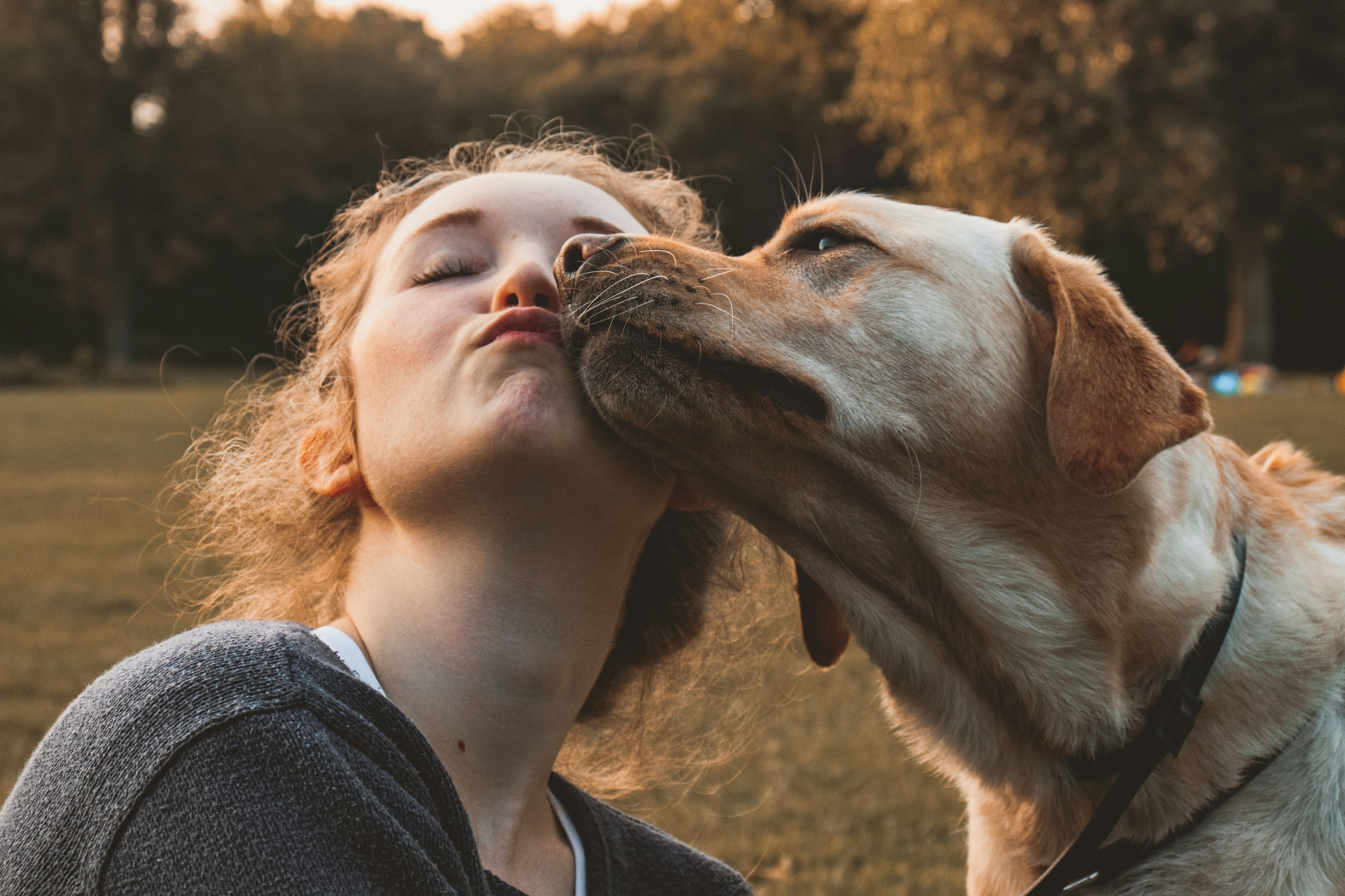 woman in gray shirt hugging brown short coated dog